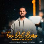 دانلود آهنگ شهاب رمضان تو دل برو دانلود آهنگ شهاب رمضان تو دل برو