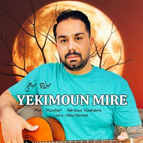 دانلود آهنگ میلاد شیخی یکیمون میره
