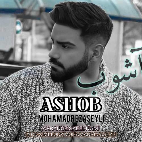 دانلود آهنگ محمدرضا سیلی آشوب