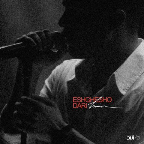 دانلود آهنگ حامیم عشقشو داری