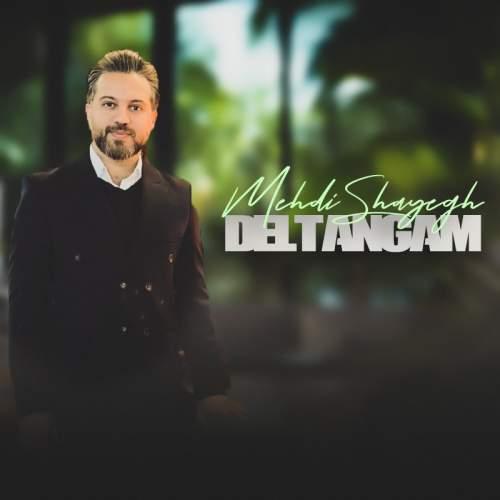 دانلود آهنگ مهدی شایق دلتنگم
