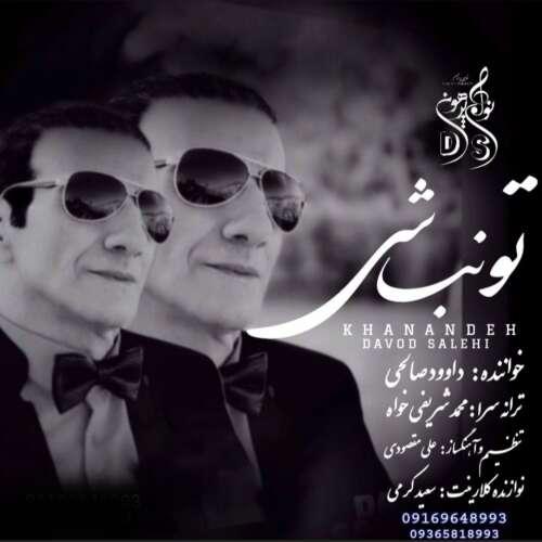 دانلود آهنگ داوود صالحي تو نباشي