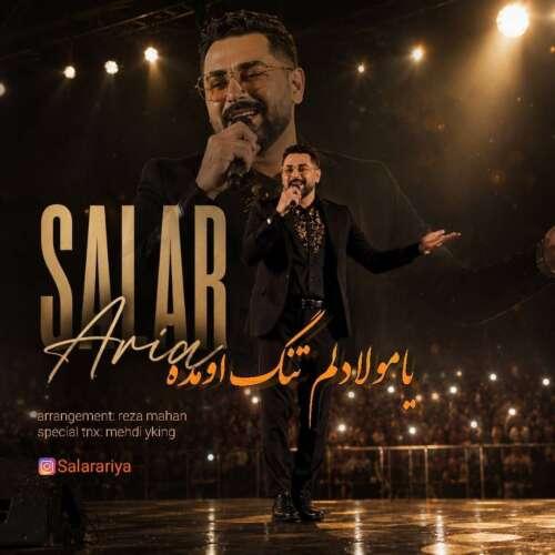 دانلود آهنگ سالار آریا یا مولا دلم تنگ اومده