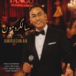 دانلود آهنگ امیر اشکان سالگردمون (مخصوص سالگرد)