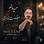 دانلود آهنگ حمید سلطانی میدونم دیگه منو دوست نداری