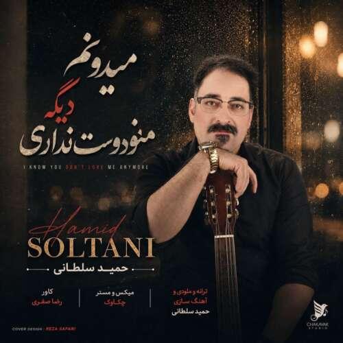 دانلود آهنگ حمید سلطانی میدونم دیگه منو دوست نداری